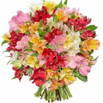Bouquet of flowers - Alstroemerias Liberty