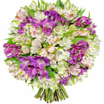 Bouquet de fleurs - Promesse d'Alstro