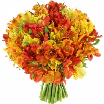 Bouquet de fleurs - Alstroemérias Flamboyantes