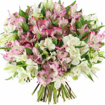 Bouquet of flowers - Delicate Alstroemerias