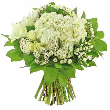 Bouquet of flowers - The White bouquet