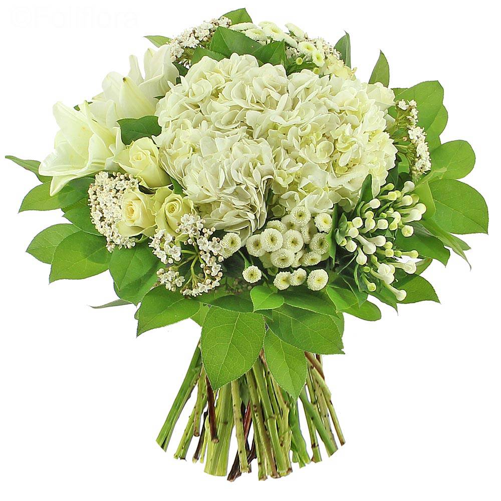 Livraison bouquet blanc - Bouquet de fleurs - Foliflora