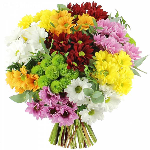 Bouquet of Chrysanthemums