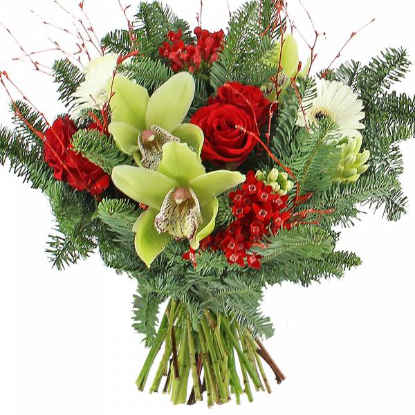 Cymbidiums de Noël