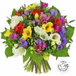 bouquet-de-freesias-fr