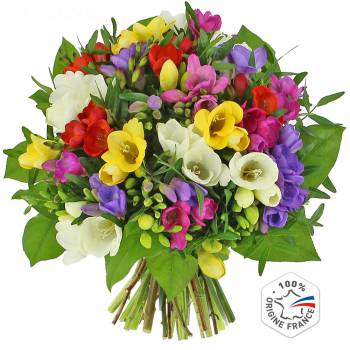 Bouquet de fleurs - Le bouquet de Freesias