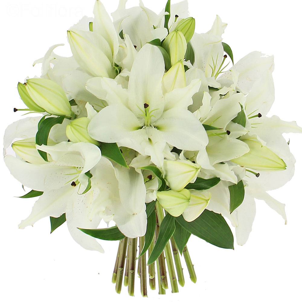 Livraison bouquet de lys blanc - format classique - Bouquet de fleurs -  Foliflora