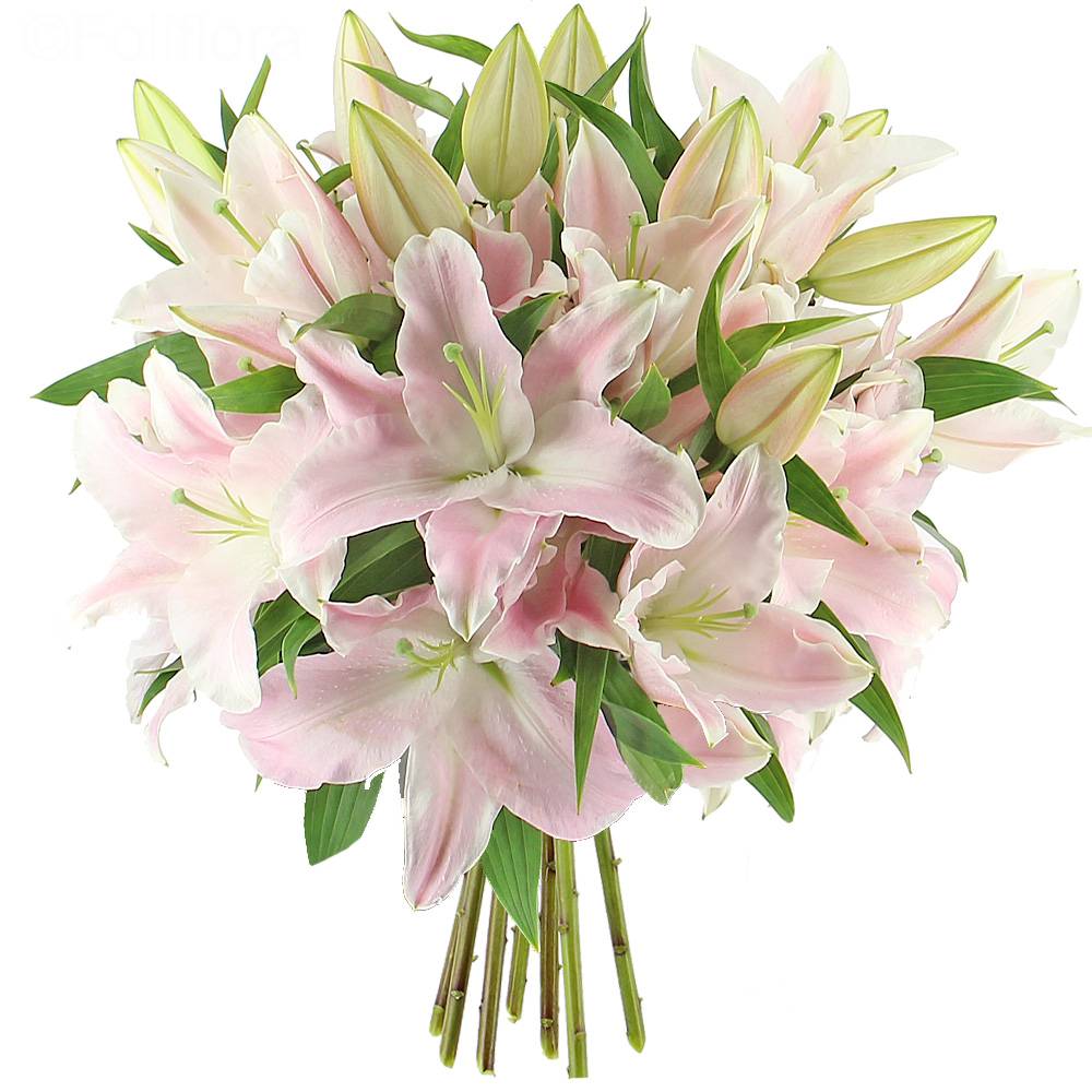 Livraison majestueux lys roses - format classique - Bouquet de fleurs -  Foliflora
