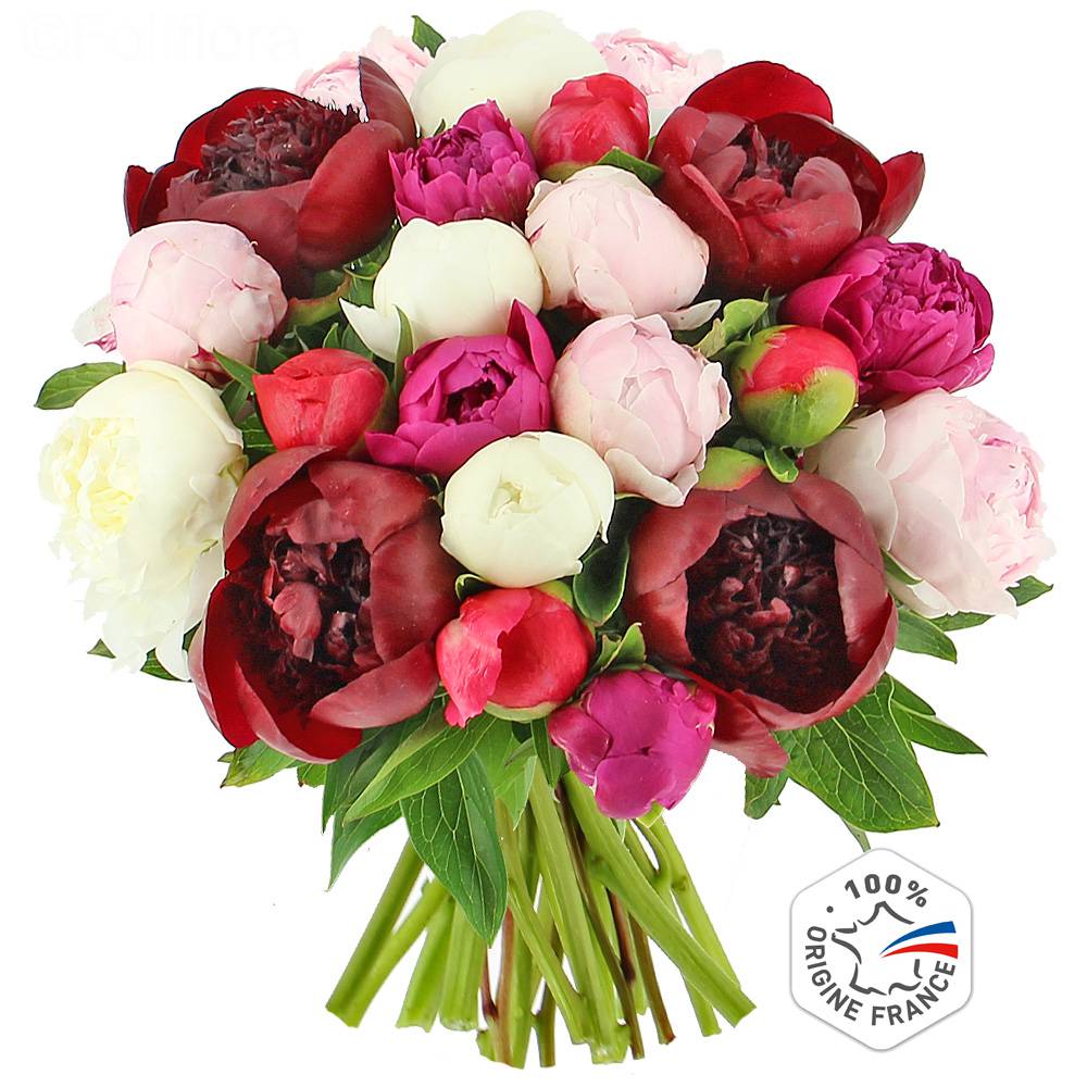 Livraison bouquet de pivoines - 15 tiges + 5 offertes - Bouquet de fleurs -  Foliflora