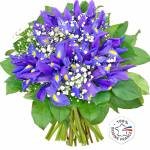 bouquet-iris