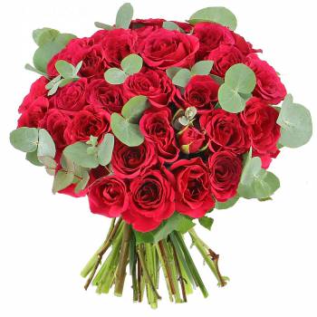 Bouquet of roses - Lovely Roses