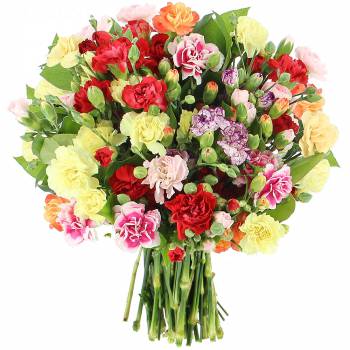 Bouquet of flowers - Bouquet of Multicolors Carnations