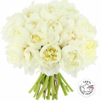 Tous les produits - Pivoines Blanches