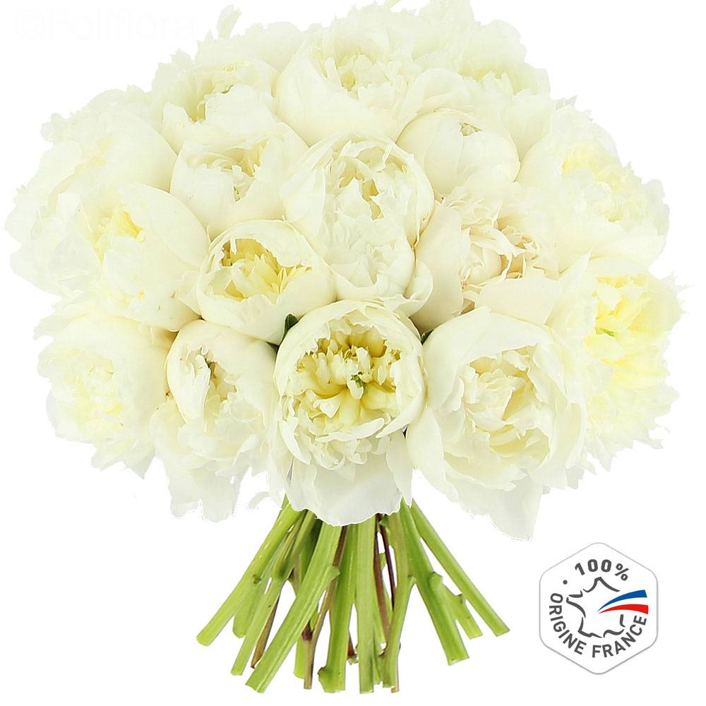 Livraison pivoines blanches - 15 tiges + 5 offertes - Bouquet de fleurs -  Foliflora