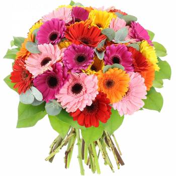 Bouquet de fleurs - Pop Colors