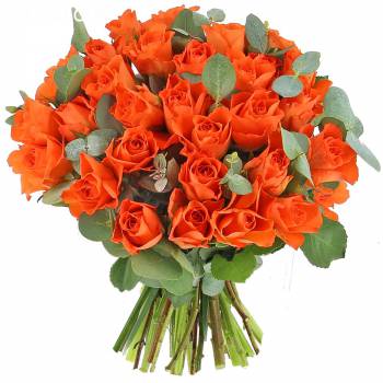 Bouquet of roses - Andalusian Roses