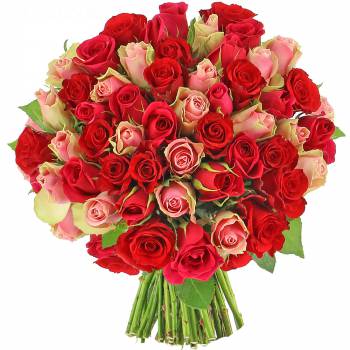 Bouquet de roses - Roses Audace