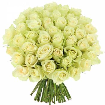 Bouquet of roses - Elegance white roses