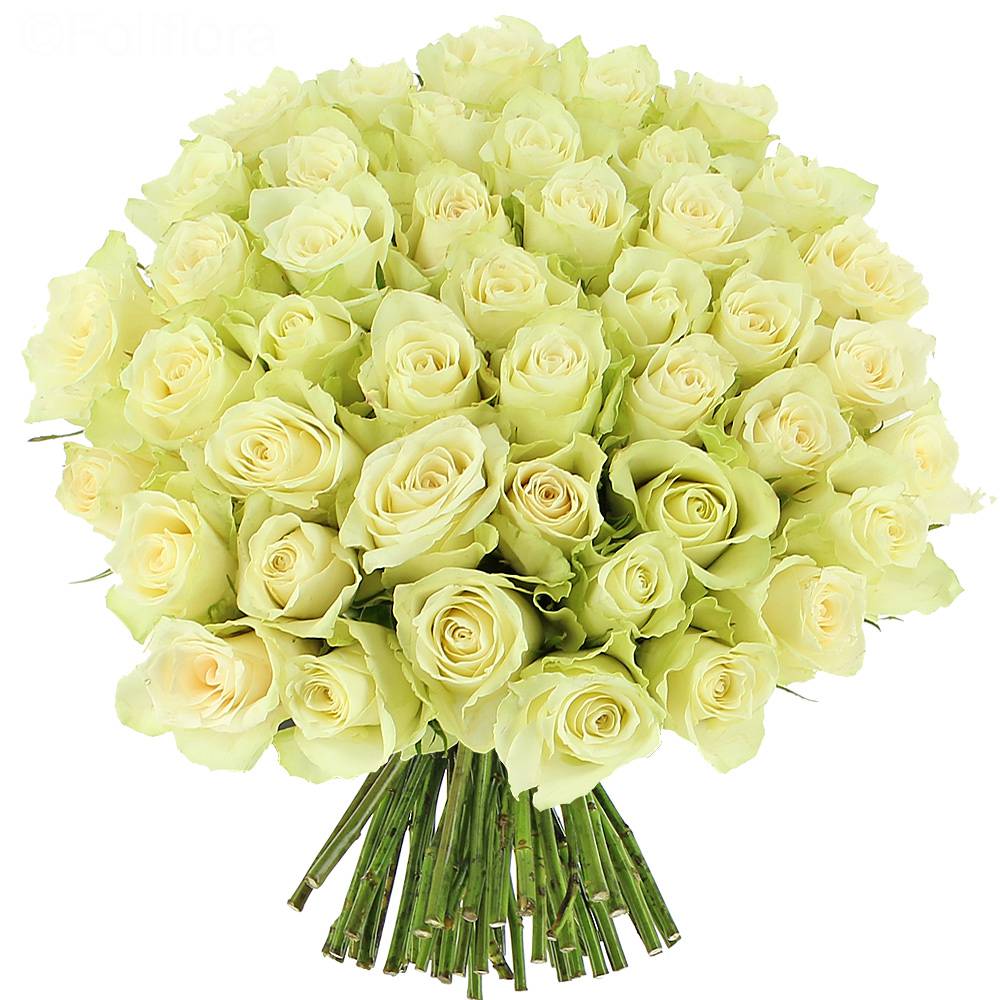 Livraison roses blanches elégance - 25 roses - Bouquet de roses - Foliflora