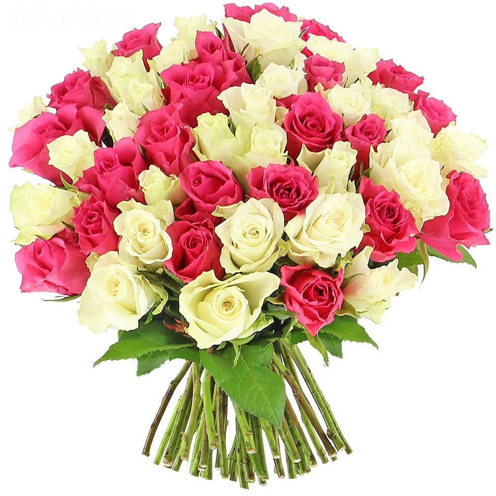 Livraison roses bonheur - 25 roses - Bouquet de roses - Foliflora
