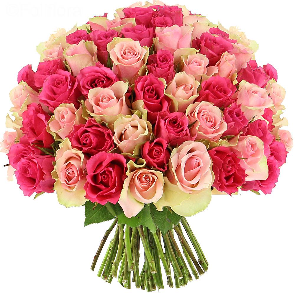 Delivery sweety roses - 25 roses - Bouquet of roses - Foliflora