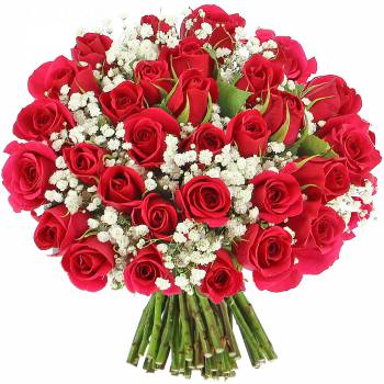 Bouquet de roses - Roses Délice