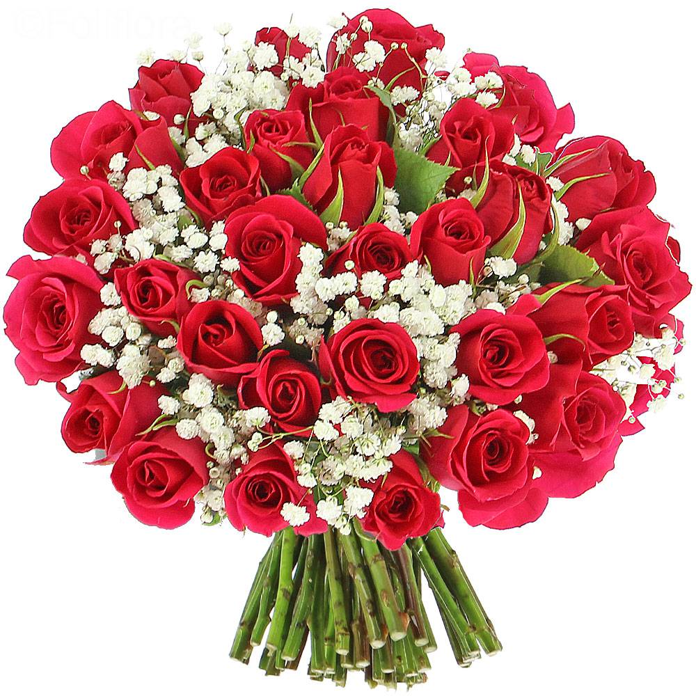 Livraison roses délice - classique - Bouquet de roses - Foliflora