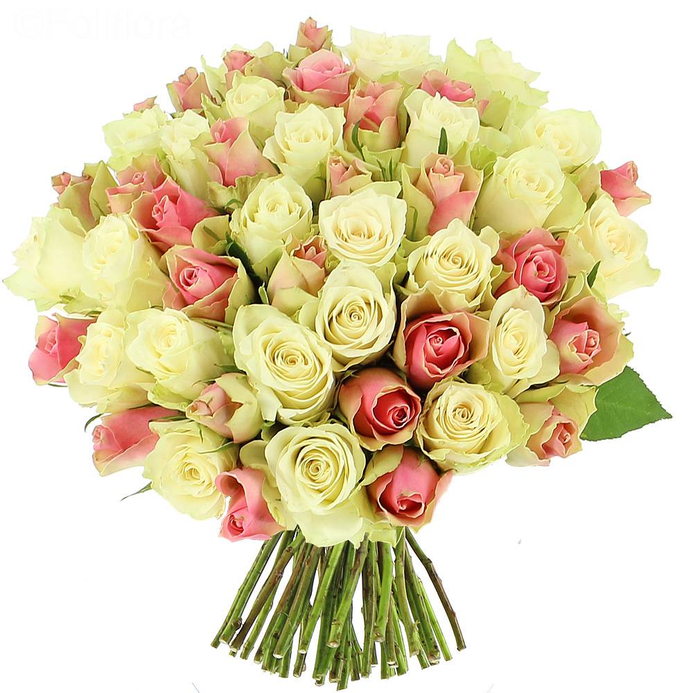 Delivery bouquet of roses sweetness - 25 roses - Bouquet of roses -  Foliflora