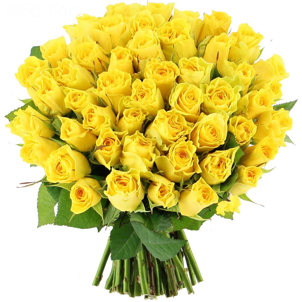 bouquet de roses jaunes