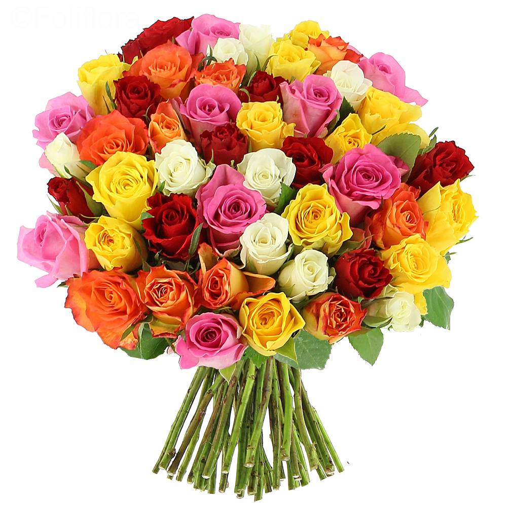 Livraison roses multicolores - 25 roses - Bouquet de roses - Foliflora