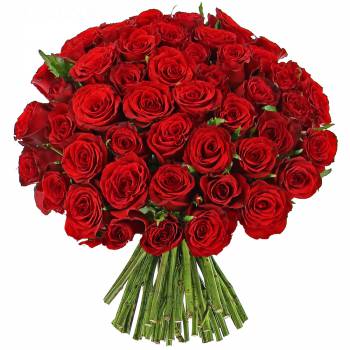 Livraison en moins de 24h : Roses rouges Passion - 25 Roses