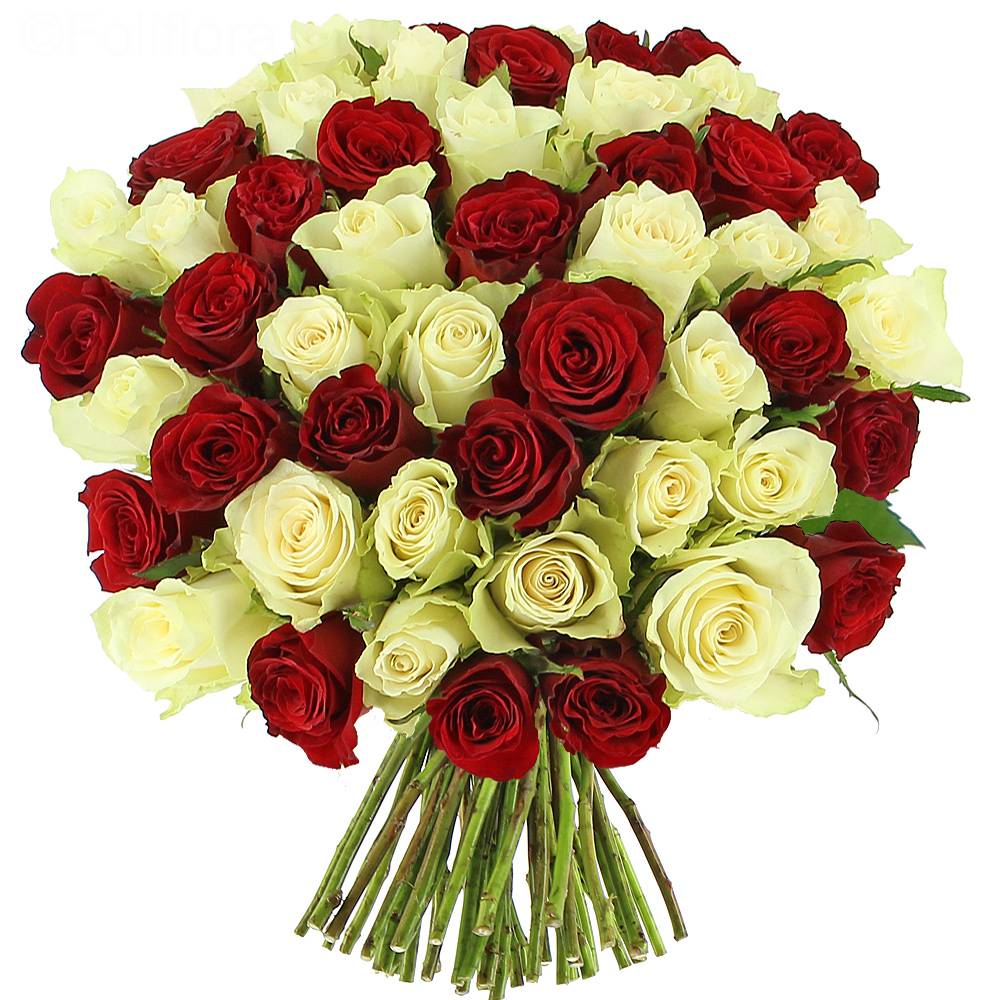 Sensation roses delivery - 25 roses - Bouquet of roses - Foliflora