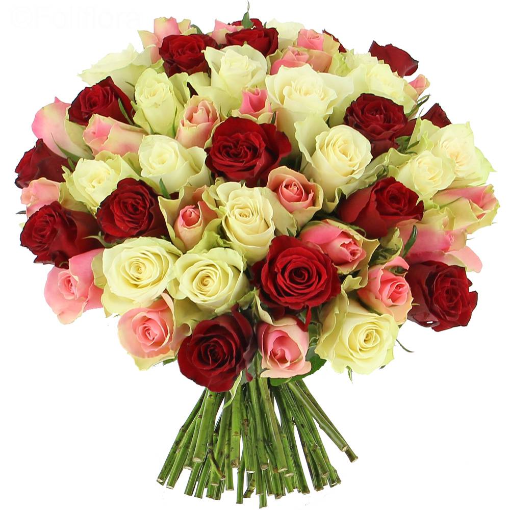 Livraison roses tendresse - 25 roses - Bouquet de roses - Foliflora