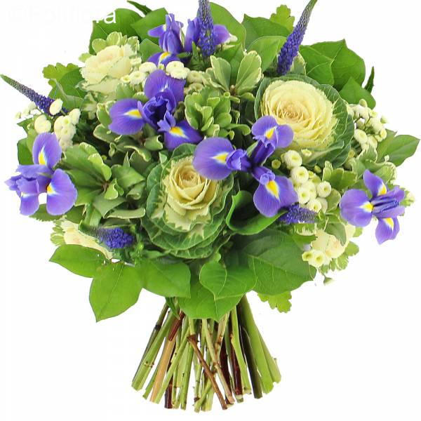 Il bouquet “Troppo Cavolo”.