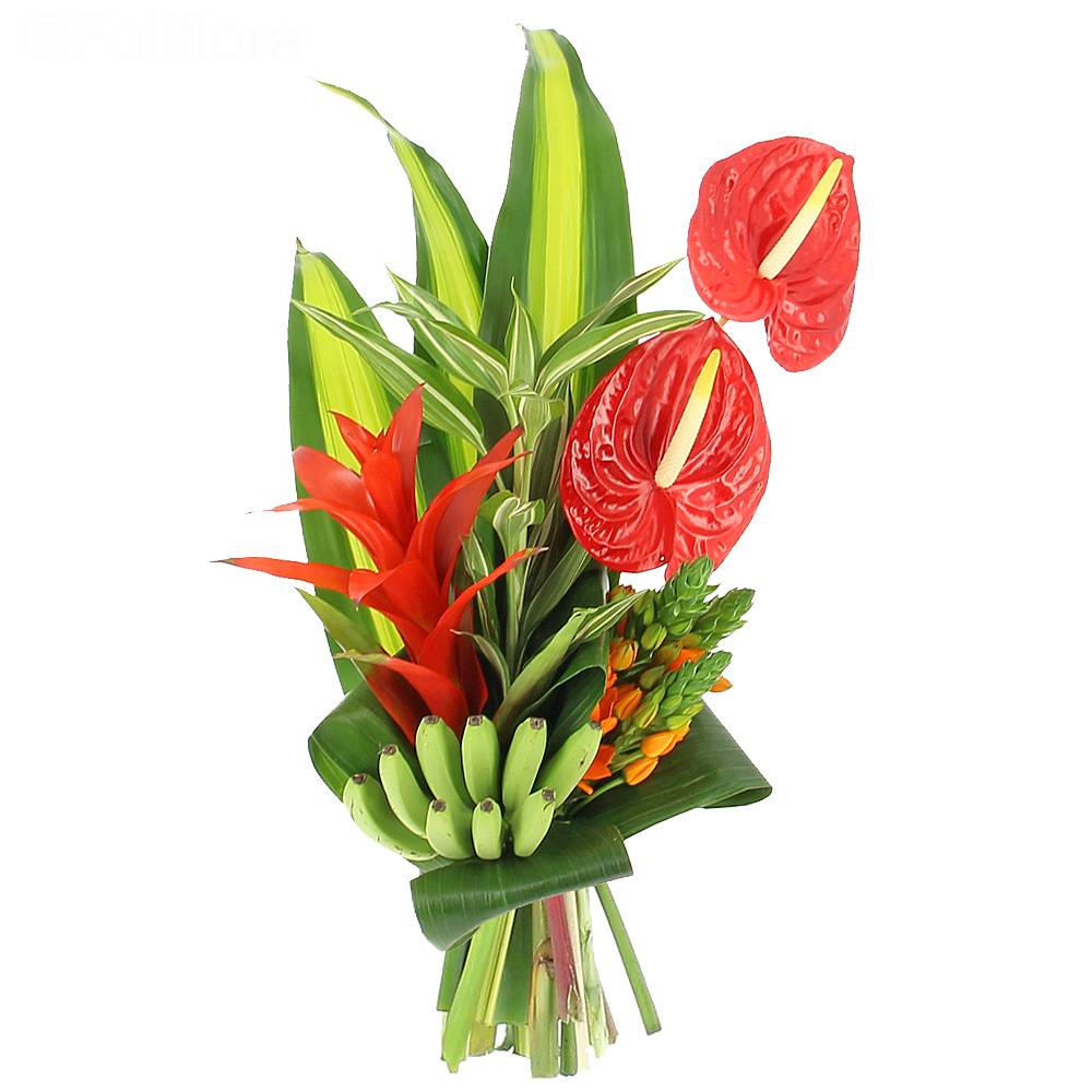Livraison bouquet tropical - Bouquet de fleurs - Foliflora