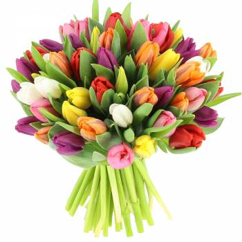 Pleasure Flowers - Bouquet of Multicolored Tulips