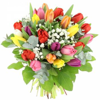 Fleurs Félicitations - Tulipes et Gypsophile