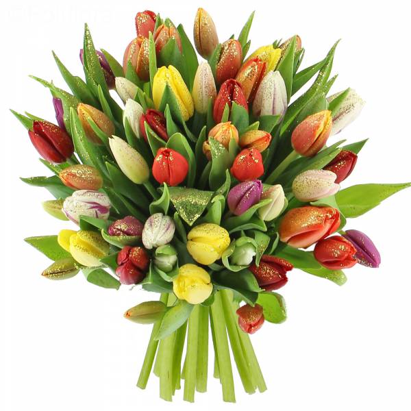 Bouquet of tulips in celebration
