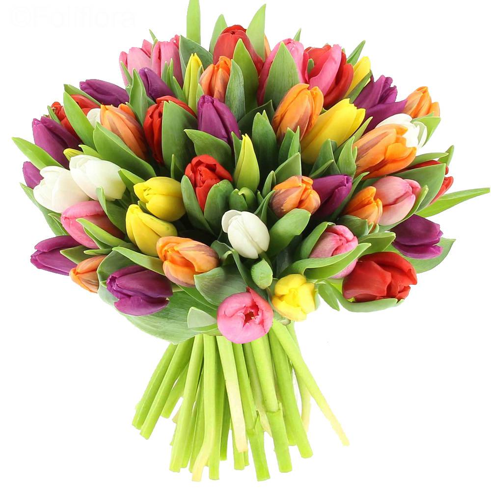 Descubra 48 kuva bouquet de fleurs tulipes - Thptnganamst.edu.vn