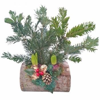 For Pleasure - Yule log