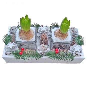 Flowering plant - Table's center