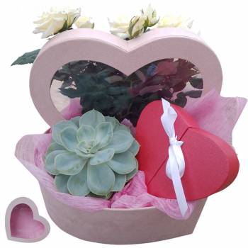Gift pack - I love you box