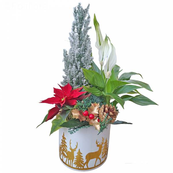  Joyeux Noël