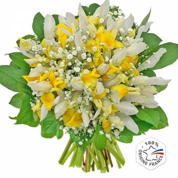 Envoi express : Bouquet d'Iris Apollo