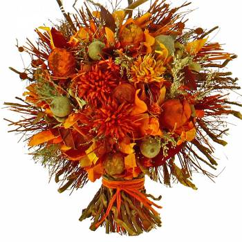 Dried Flowers - Mael