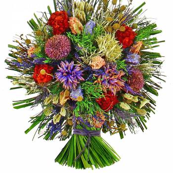 Fleurs Séchées - Mila      