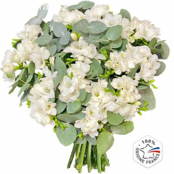 Bouquet de fleurs - Freesias Blancs Parfumés
