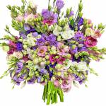 lisianthus-bigarres