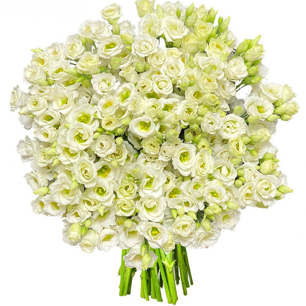 Livraison lisianthus blancs - classique - Bouquet de fleurs - Foliflora
