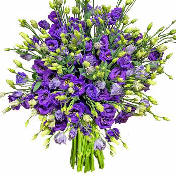 Bouquet of flowers - Lisianthus Intense Blue